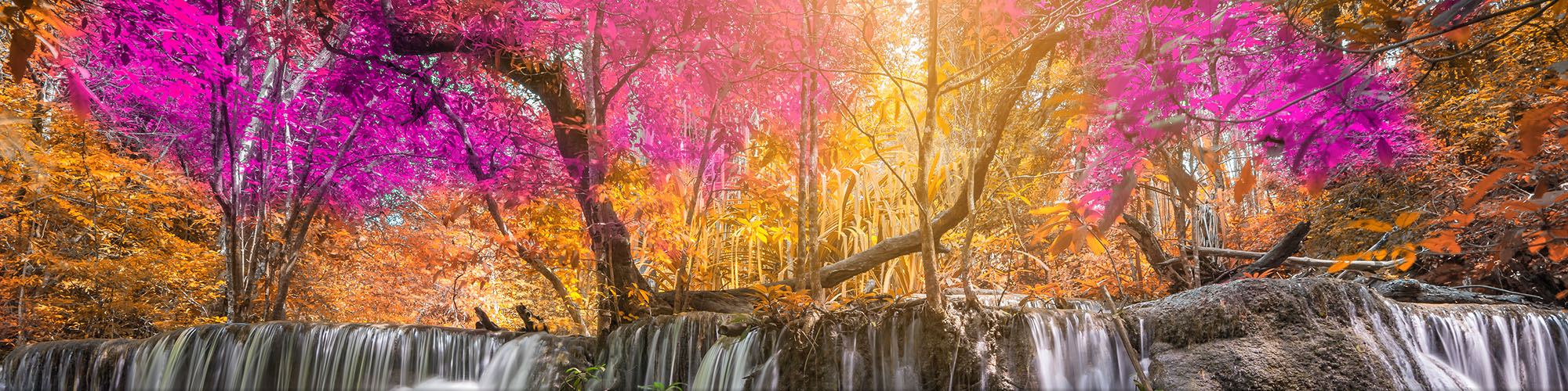 Waterfall In a Forest